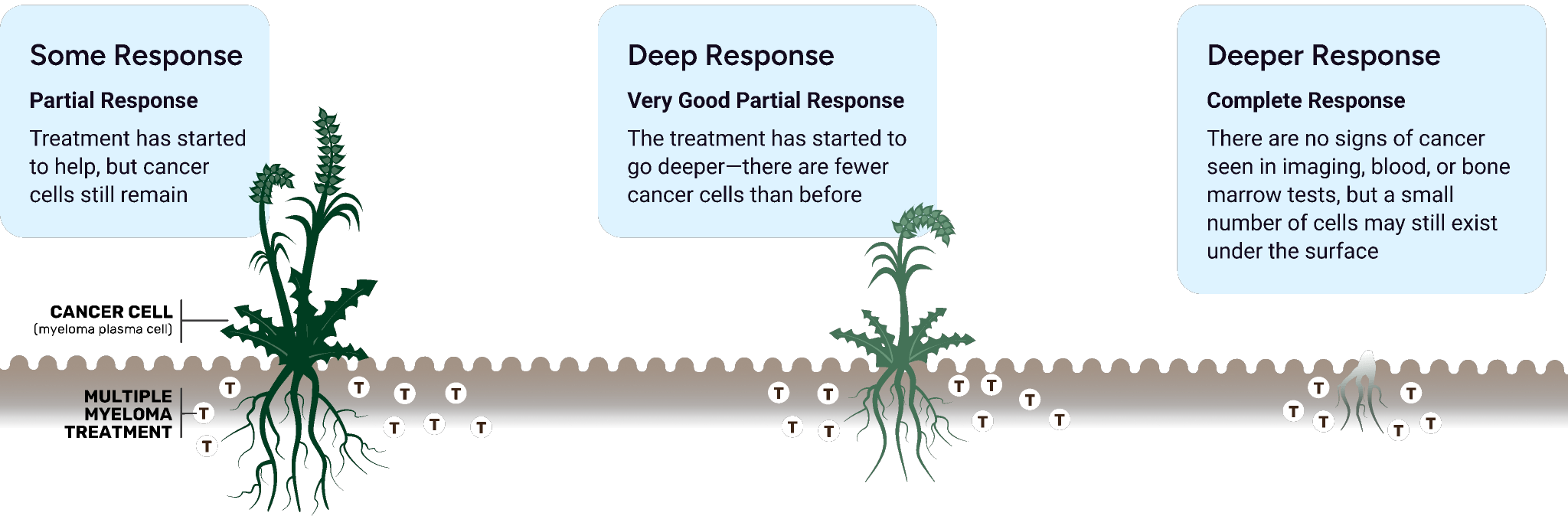 Levels of response for multiple myeloma (some response, deep response, deeper response)